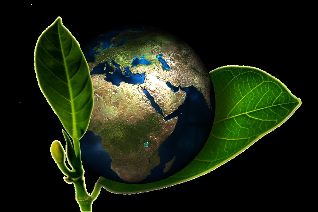 International sustainability content